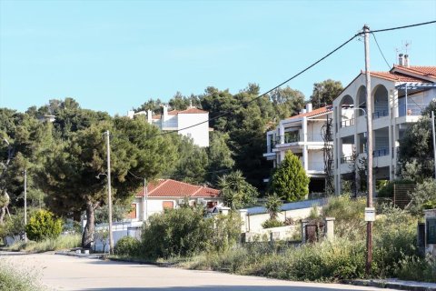 4 chambres House à Malesina, Greece No. 57281 27