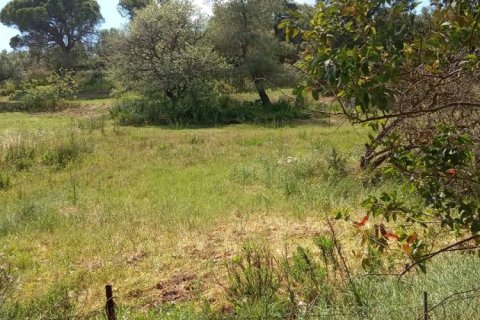 Land in Zakynthos, Greece No. 24516 15