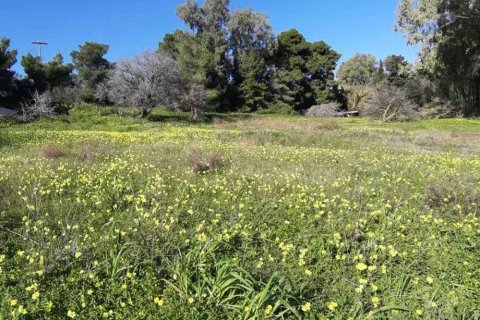 Land en Zakynthos, Greece No. 24516 3