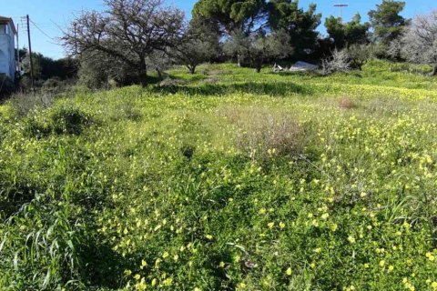 Land in Zakynthos, Greece No. 24516 6