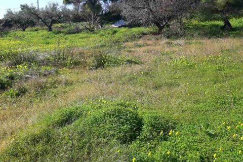 Land in Zakynthos, Greece No. 24516 4