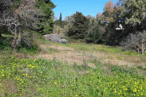 Land in Zakynthos, Greece No. 24516 9