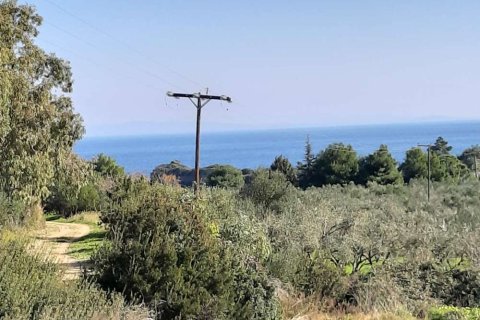 Land in Zakynthos, Greece No. 24516 13