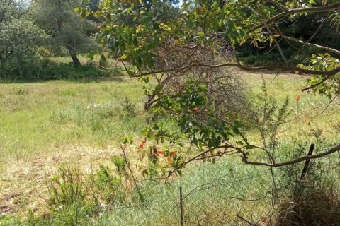 Land in Zakynthos, Greece No. 24516 19