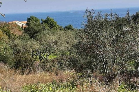 Land in Zakynthos, Greece No. 24516 11