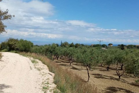 Land in Zakynthos, Greece No. 24516 14