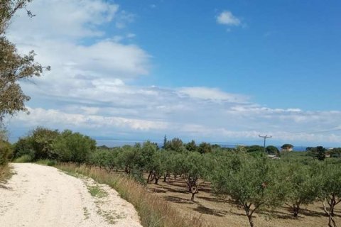 Land in Zakynthos, Greece No. 24516 22