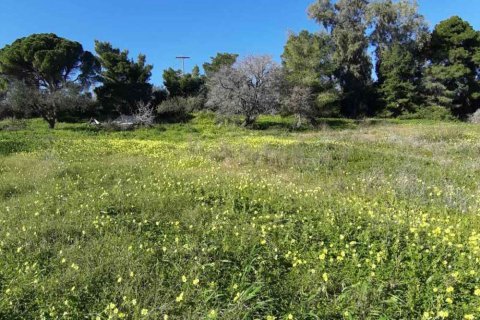 Land in Zakynthos, Greece No. 24516 7