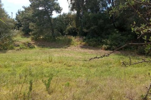 Land in Zakynthos, Greece No. 24516 21