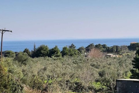 Land in Zakynthos, Greece No. 24516 2