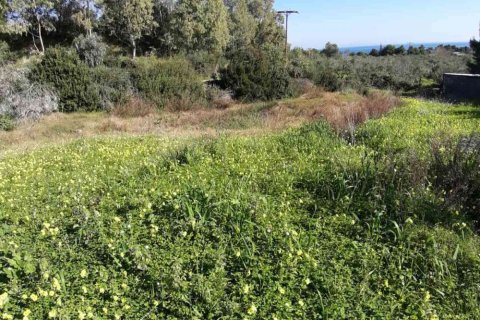 Land in Zakynthos, Greece No. 24516 5