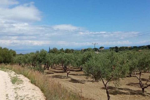 Land à Zakynthos, Greece No. 24516 18