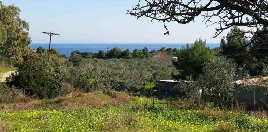 Land in Zakynthos, Greece No. 24516