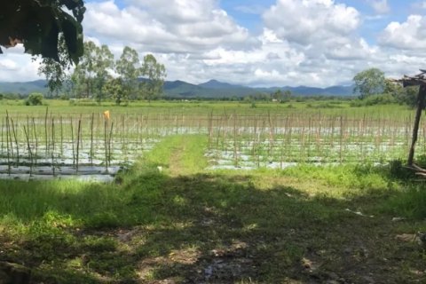 20 dormitorios Land en Chiang Mai, Thailand No. 1478 8