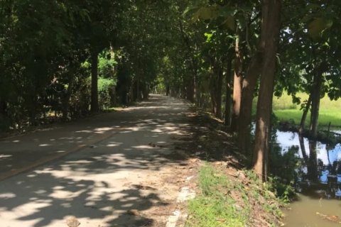 20 dormitorios Land en Chiang Mai, Thailand No. 1478 6