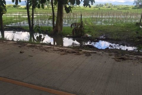 20 dormitorios Land en Chiang Mai, Thailand No. 1478 4