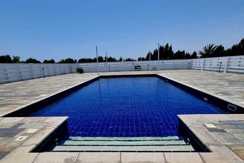 5 bedrooms Villa in Pervolia, Cyprus No. 71666 4