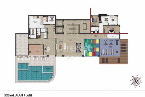 2+1 Penthouse à Alanya, Turkey No. 11654 14