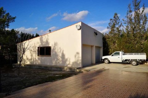 4 bedrooms House in Pissouri, Cyprus No. 39362 4