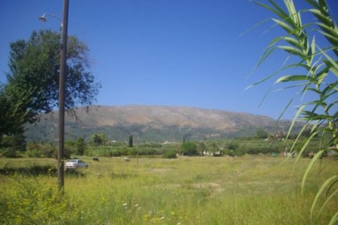 Land in Zakynthos, Greece No. 24749 4