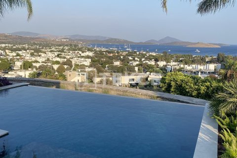 6+1 Villa en Bodrum, Turkey No. 17686 14