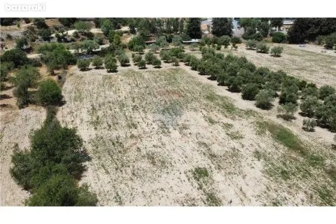 16351m² Land en Fasoula, Cyprus No. 42112 9