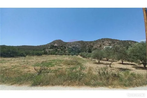 16351m² Land in Fasoula, Cyprus No. 42112 2