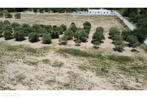 16351m² Land in Fasoula, Cyprus No. 42112 6