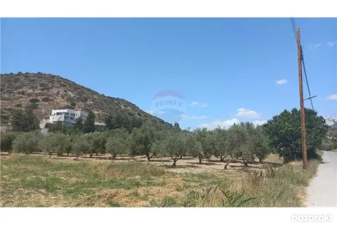 16351m² Land à Fasoula, Cyprus No. 42112 4