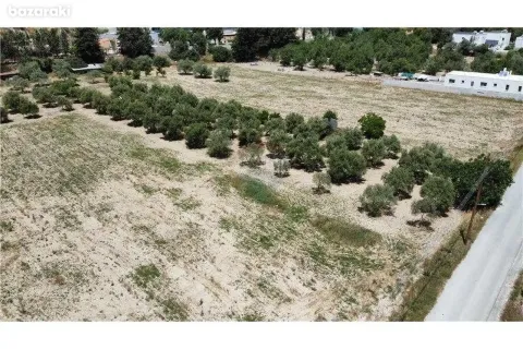 16351m² Land en Fasoula, Cyprus No. 42112 8