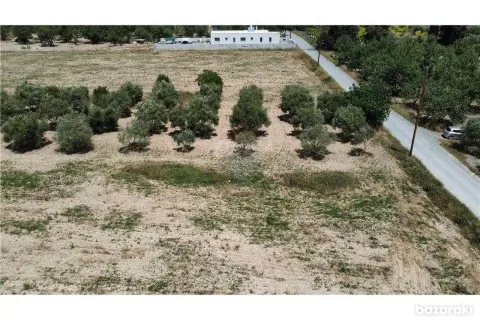 16351m² Land in Fasoula, Cyprus No. 42112 5