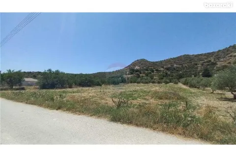 16351m² Land in Fasoula, Cyprus No. 42112 3