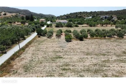 16351m² Land in Fasoula, Cyprus No. 42112 10