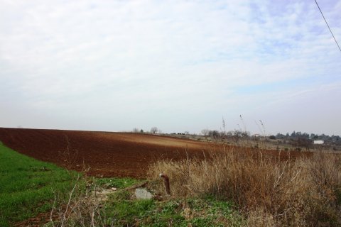 11500m² Land in Thessaloniki, Greece No. 58367 6