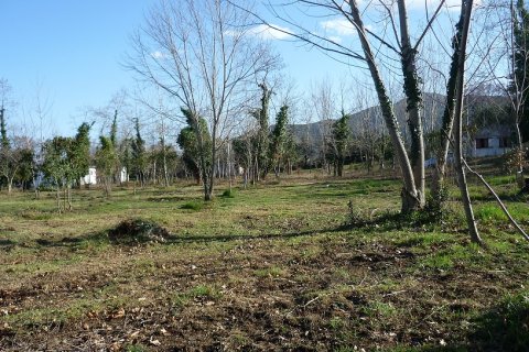 9000m² Land en Chalkidiki, Greece No. 58308 7