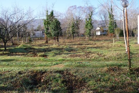 9000m² Land in Chalkidiki, Greece No. 58308 5