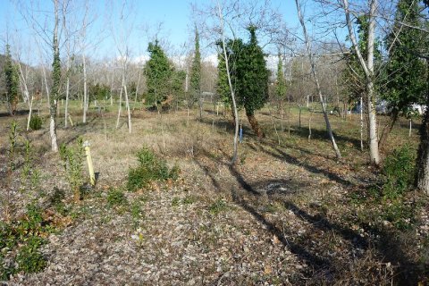 9000m² Land in Chalkidiki, Greece No. 58308 3