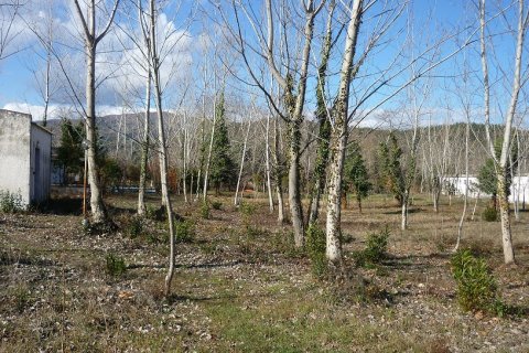 9000m² Land in Chalkidiki, Greece No. 58308 1