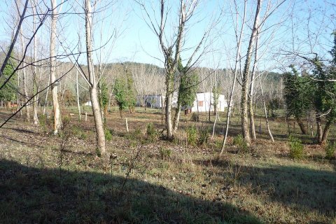 9000m² Land en Chalkidiki, Greece No. 58308 4