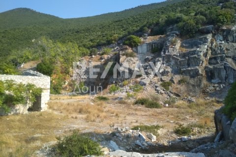 9018m² Land in Magnesia, Greece No. 27999 8