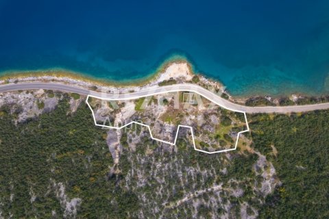 9018m² Land in Magnesia, Greece No. 27999 5