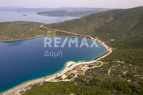 9018m² Land in Magnesia, Greece No. 27999 3