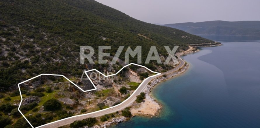 9018m² Land in Magnesia, Greece No. 27999