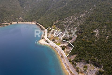 9018m² Land in Magnesia, Greece No. 27999 2