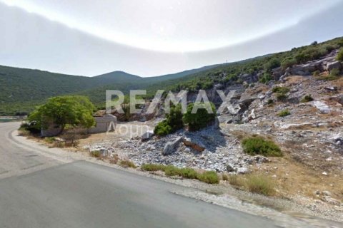 9018m² Land in Magnesia, Greece No. 27999 10