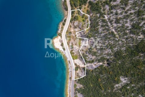 9018m² Land in Magnesia, Greece No. 27999 4