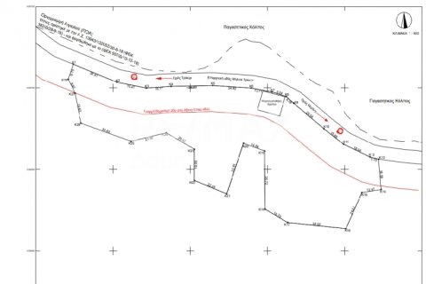 9018m² Land in Magnesia, Greece No. 27999 11