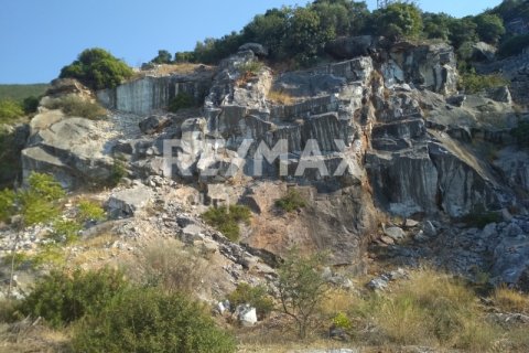 9018m² Land in Magnesia, Greece No. 27999 7