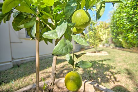 3 dormitorios Villa en Polis, Cyprus No. 28044 26