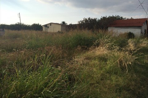 6930m² Land en Chalkidiki, Greece No. 60099 1